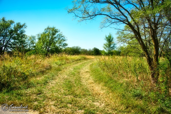 Looking down the path