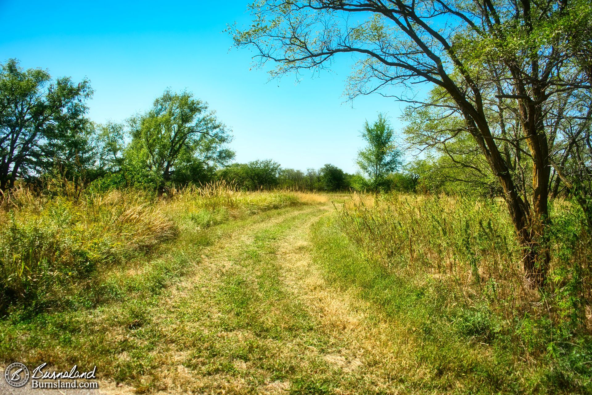 Looking down the path