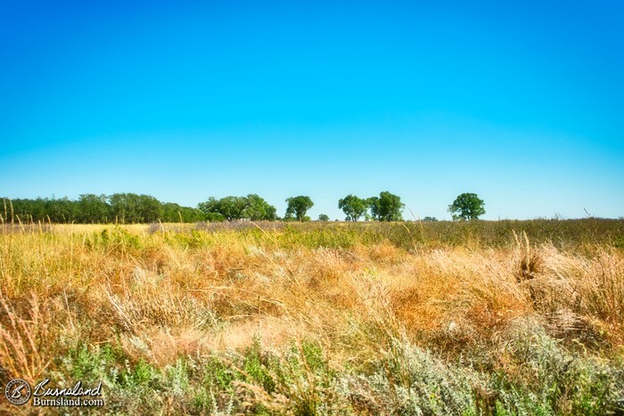 A view across the grasslands in Kansas