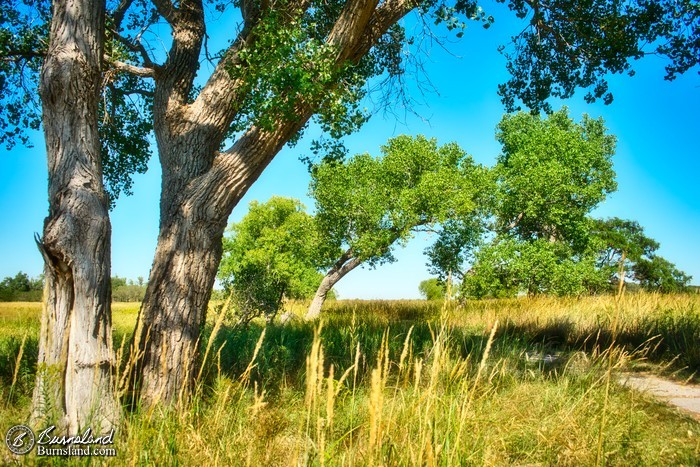 Trees and trails at Quivira National Wildlife Refuge in Kansas