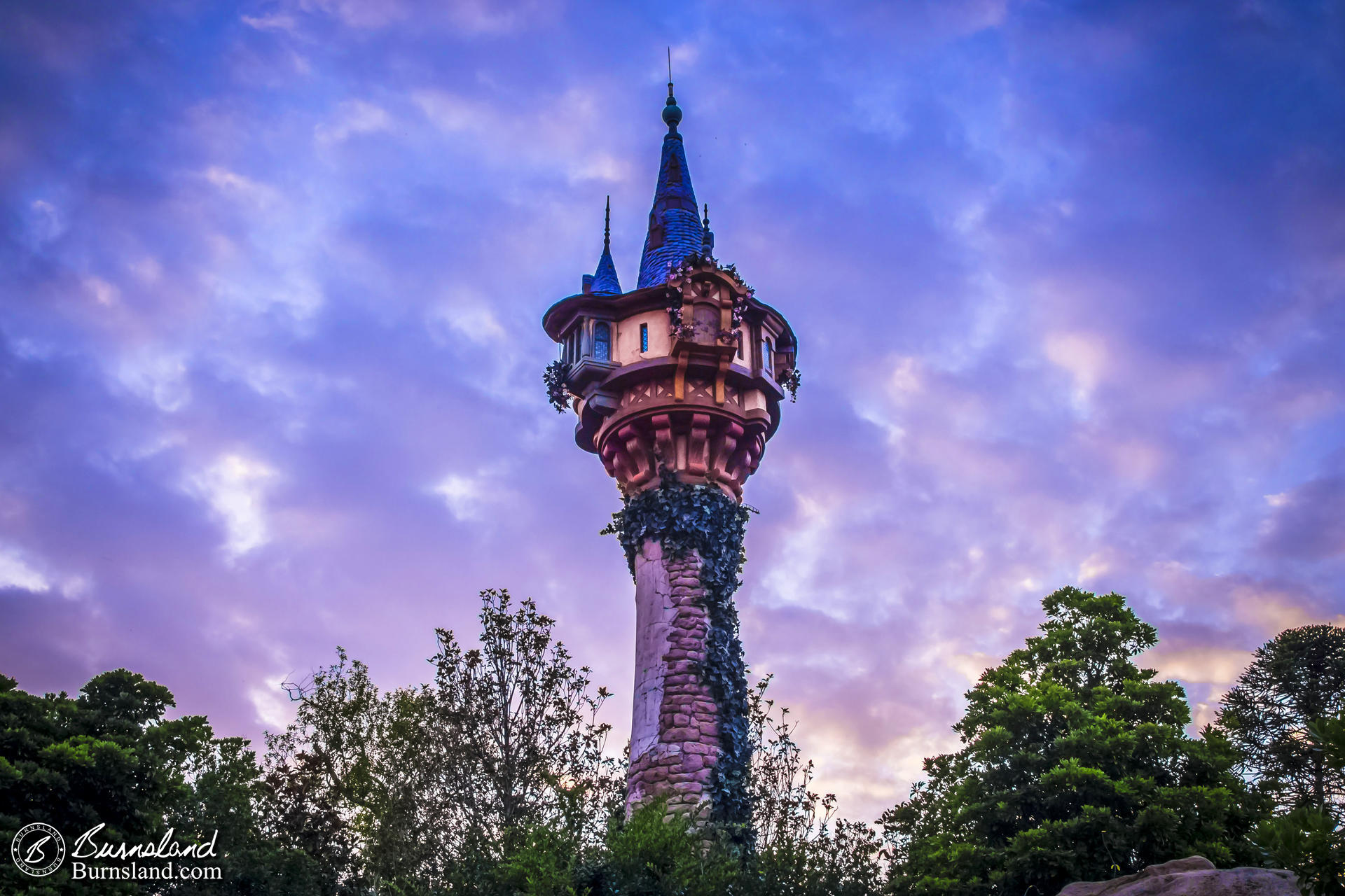 Rapunzel's Tower in the Magic Kingdom