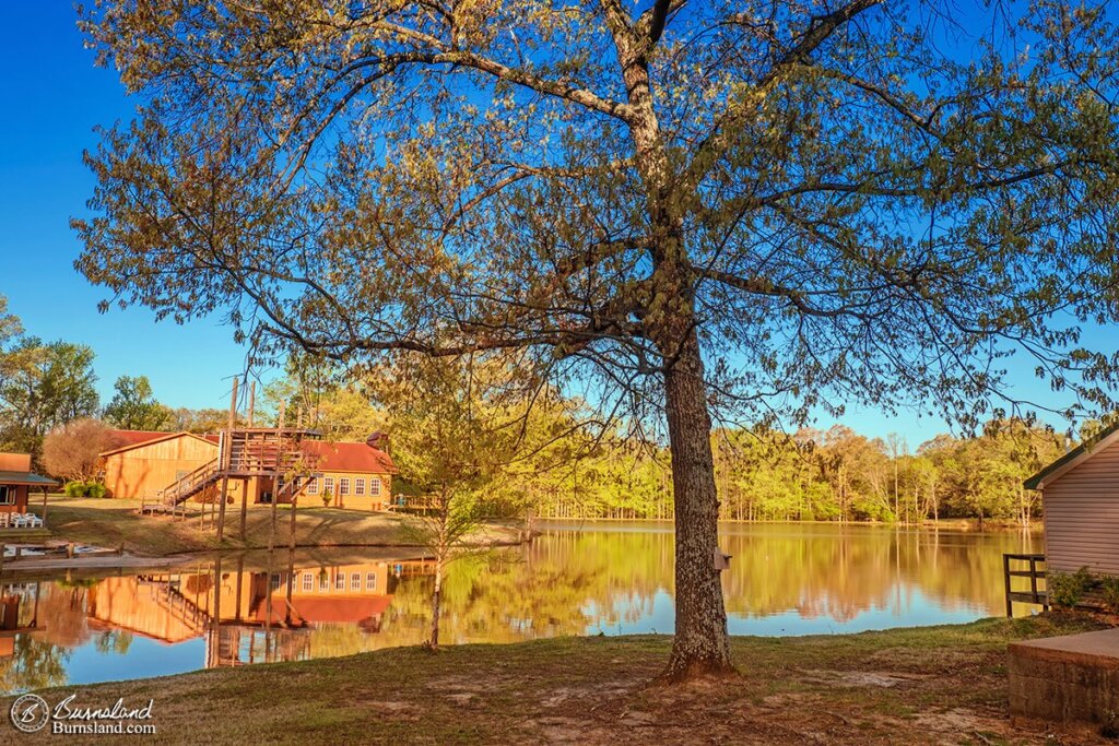 Early morning sunlight illuminates the trees and lake at the Grove at Red Oak Lake in Cordova, Tennessee. Read all about it at Burnsland!