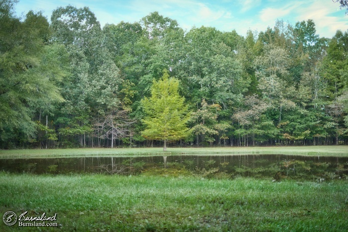 Trees are reflected in the water of the Bloody Pond at Shiloh National Military Park in Tennessee.