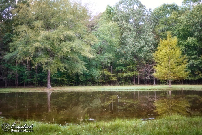 Trees are reflected in the water of the Bloody Pond at Shiloh National Military Park in Tennessee.