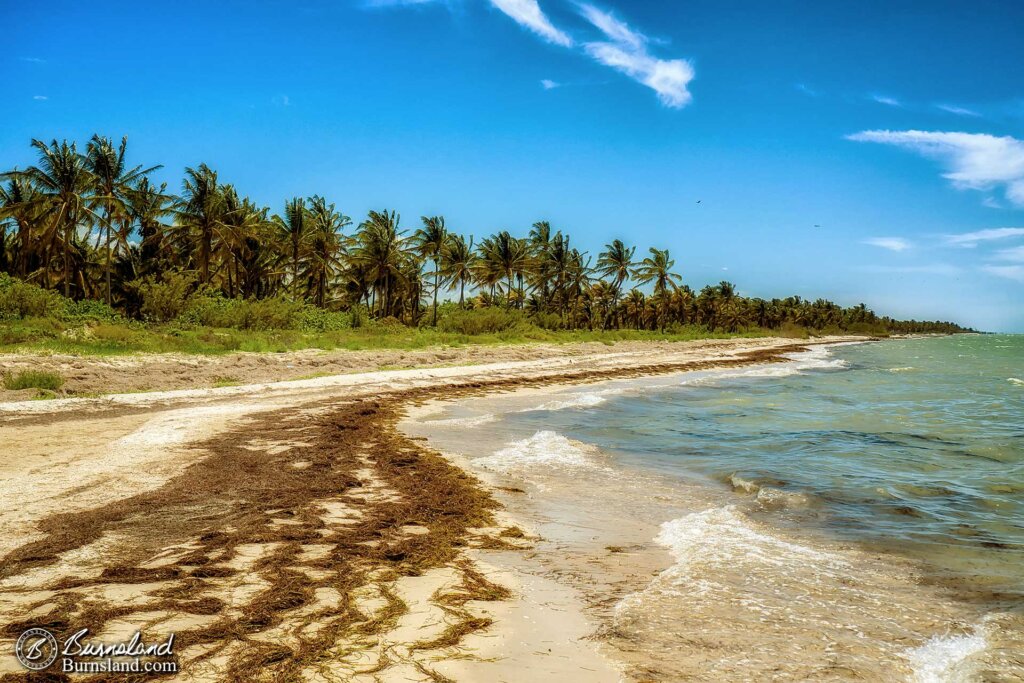 Remembering the Beach in Mexico