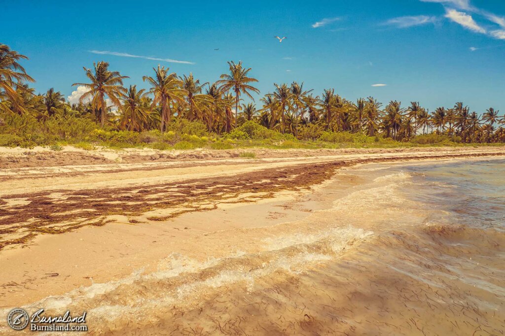 Remembering the Beach in Mexico