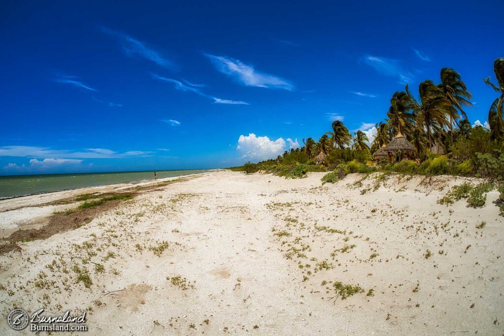 Remembering the Beach in Mexico