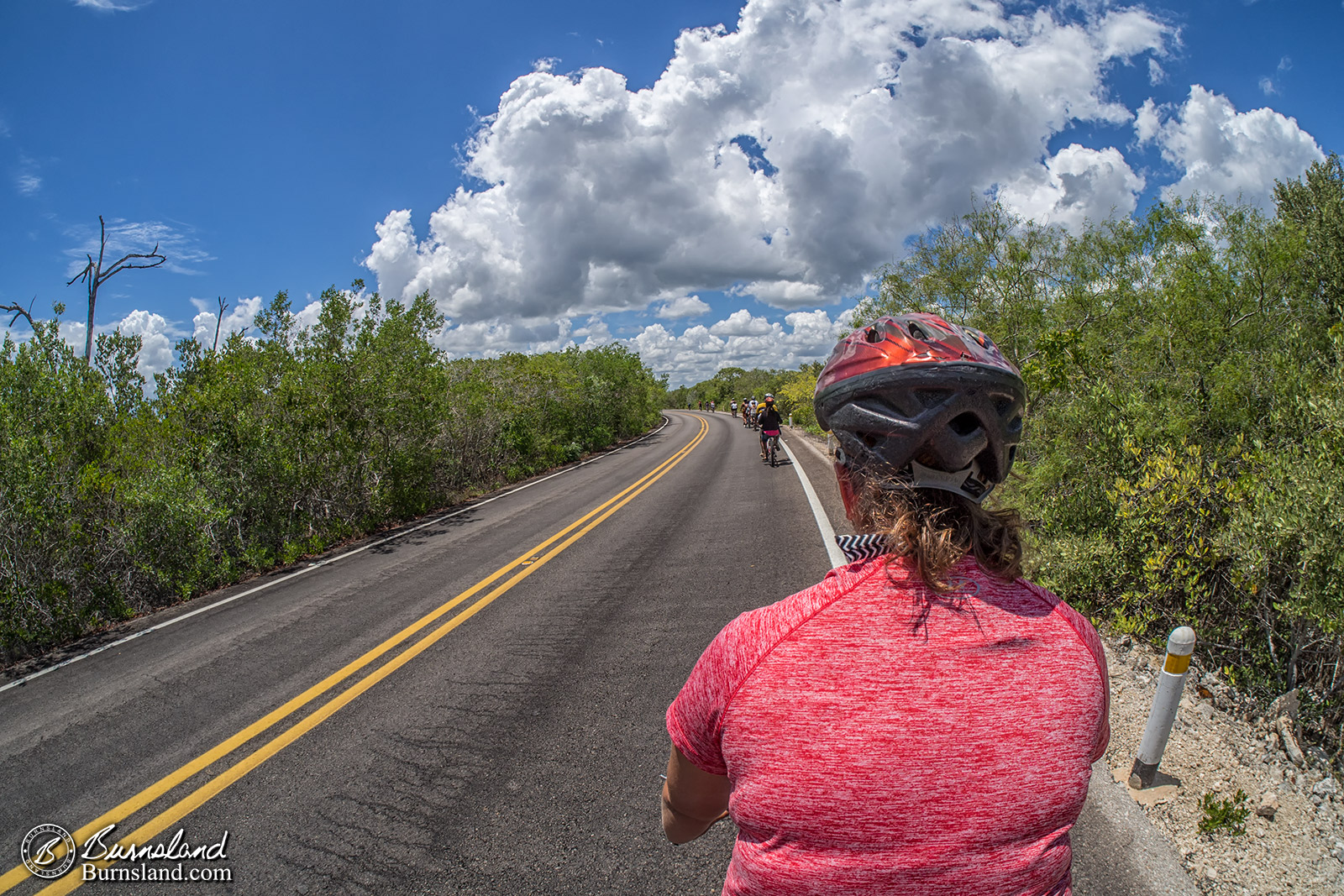 Yucatan Bicycles 1-1600