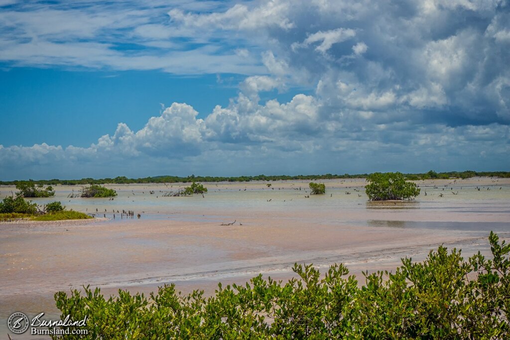 Yucatan Bicycles 2-1600