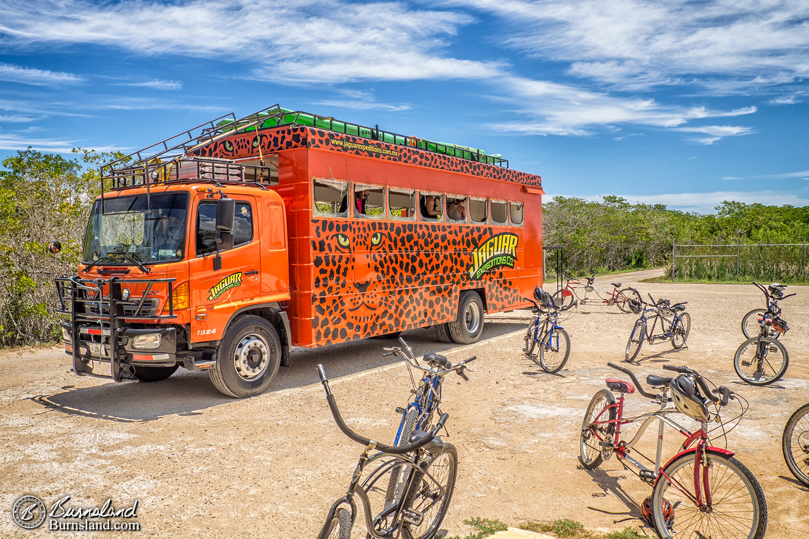 Yucatan Bicycles 4-1600