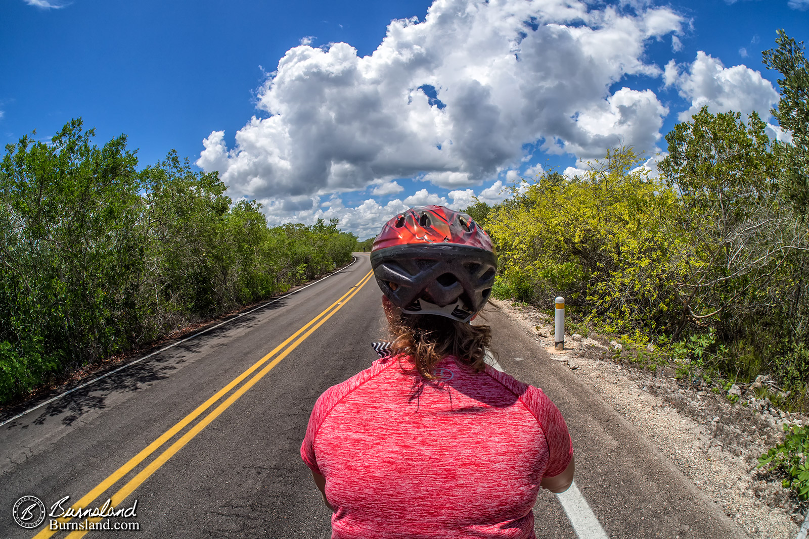 Yucatan Bicycles 5-1600