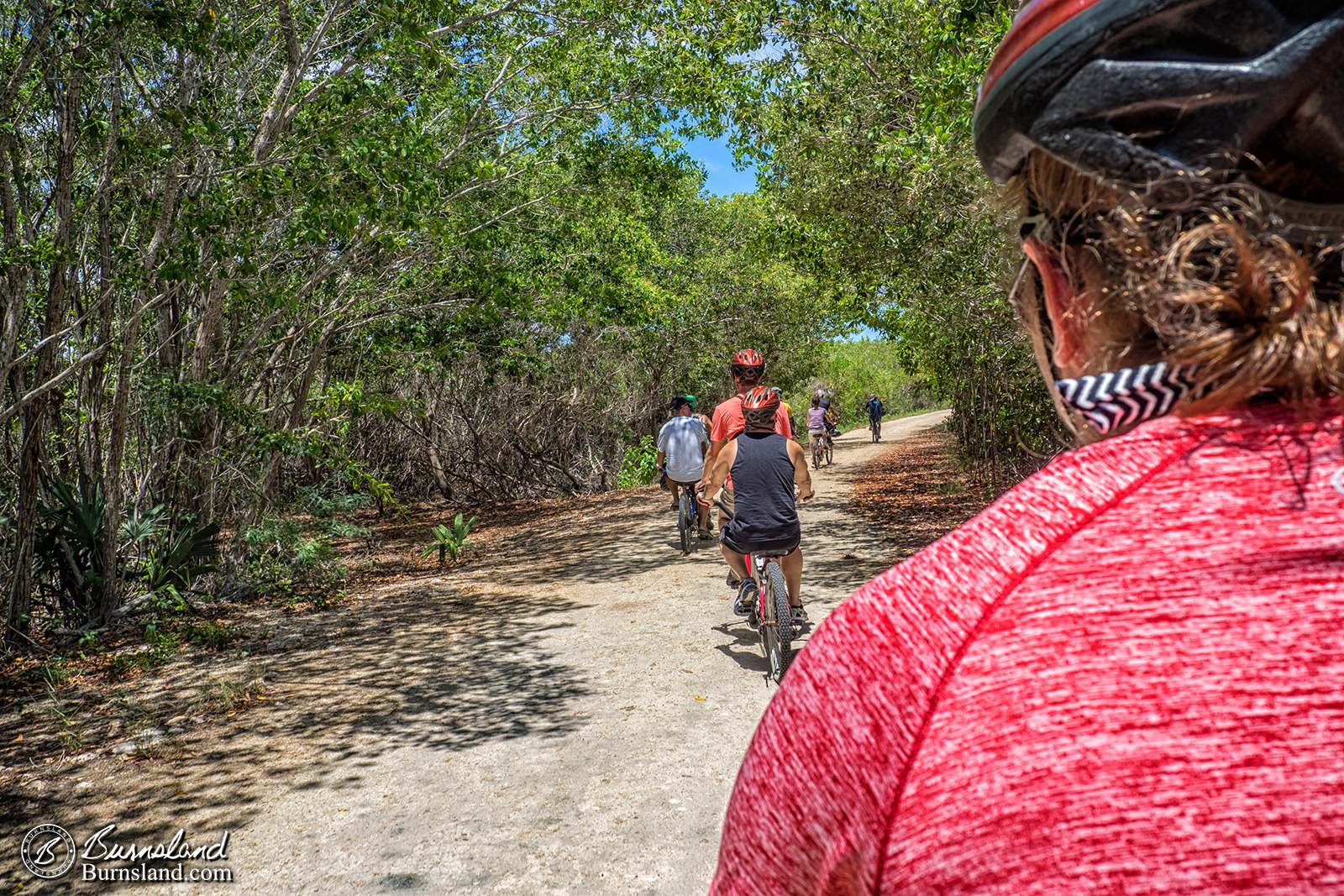 Yucatan Bicycles 6-1600