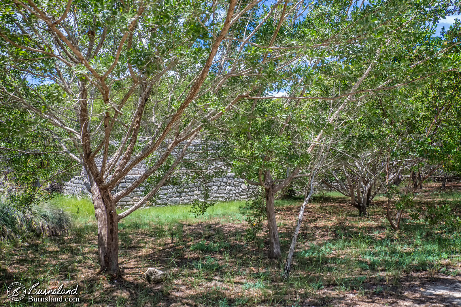 Yucatan Bicycles 7-1600