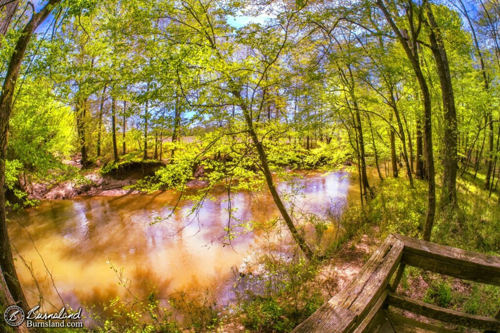 A River at Pinson Mounds