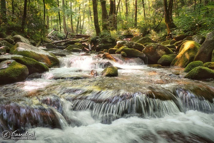 A rushing stream in the Great Smoky Mountains National Park