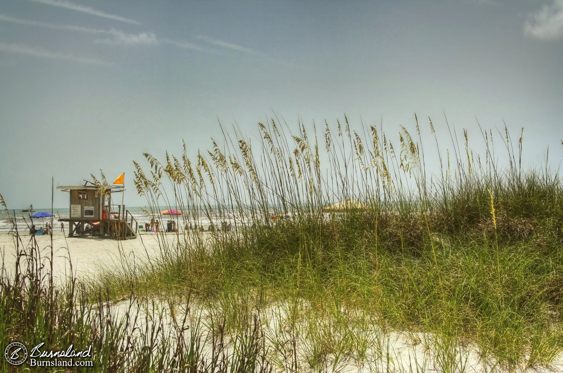 Sea grass at Jetty Park n Cape Canaveral, Florida