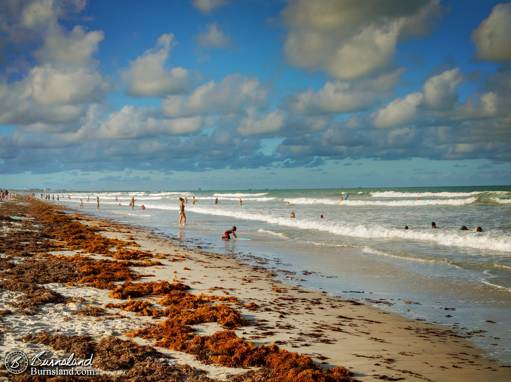 Seaweed at Cocoa Beach