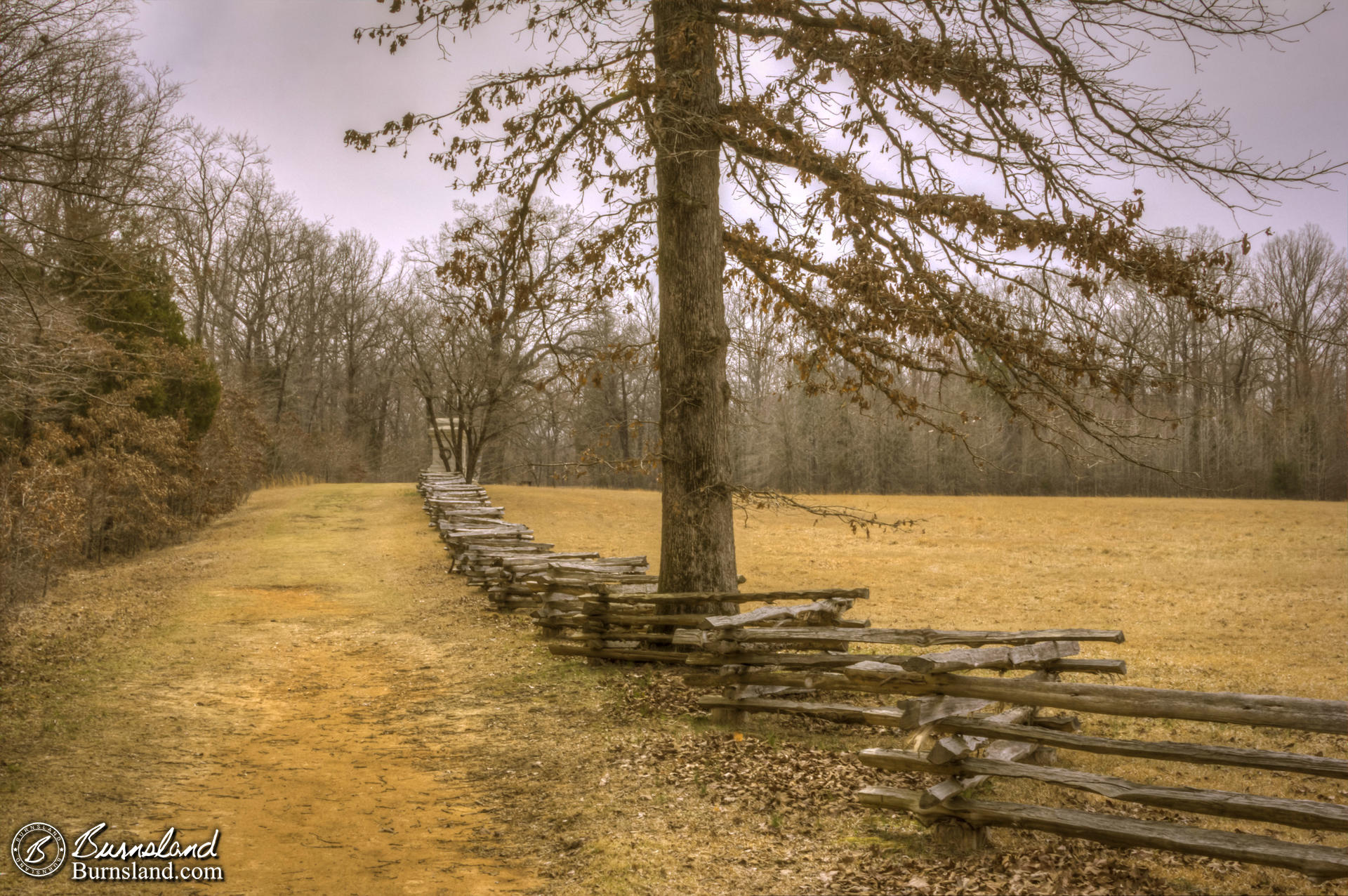 Sunken Road at Shiloh National Military Park in Tennessee