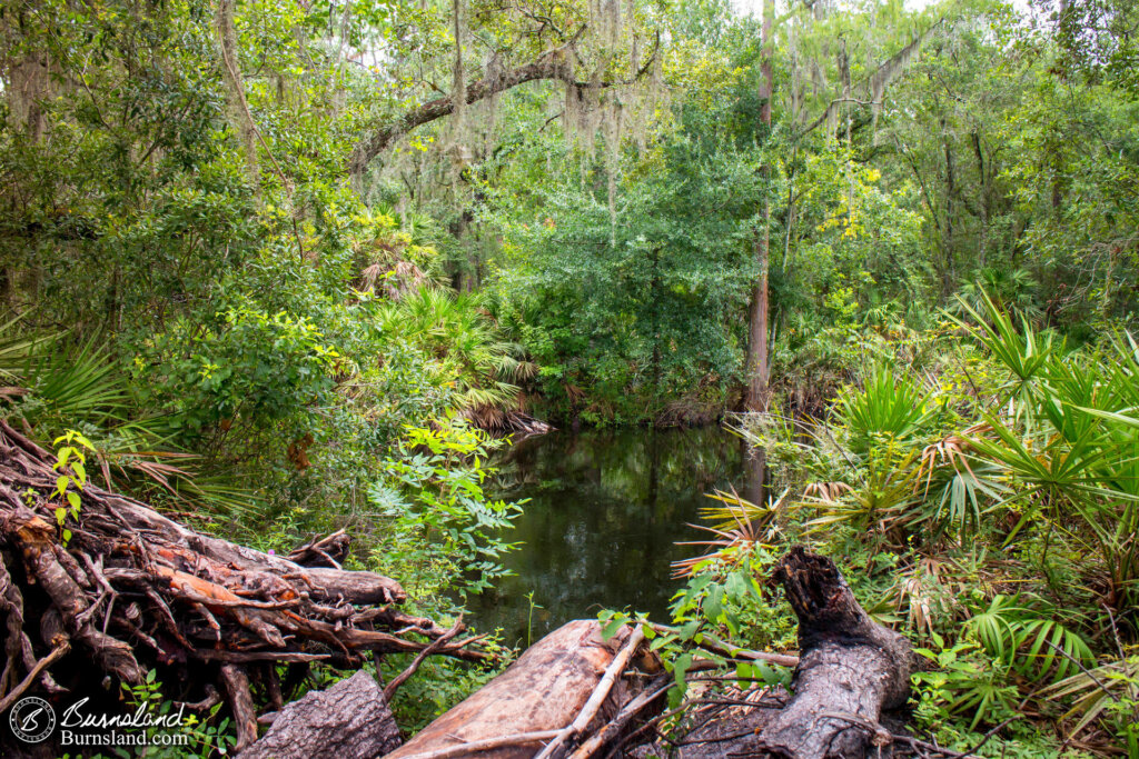 Shingle Creek Regional Park in Kissimmee, Florida