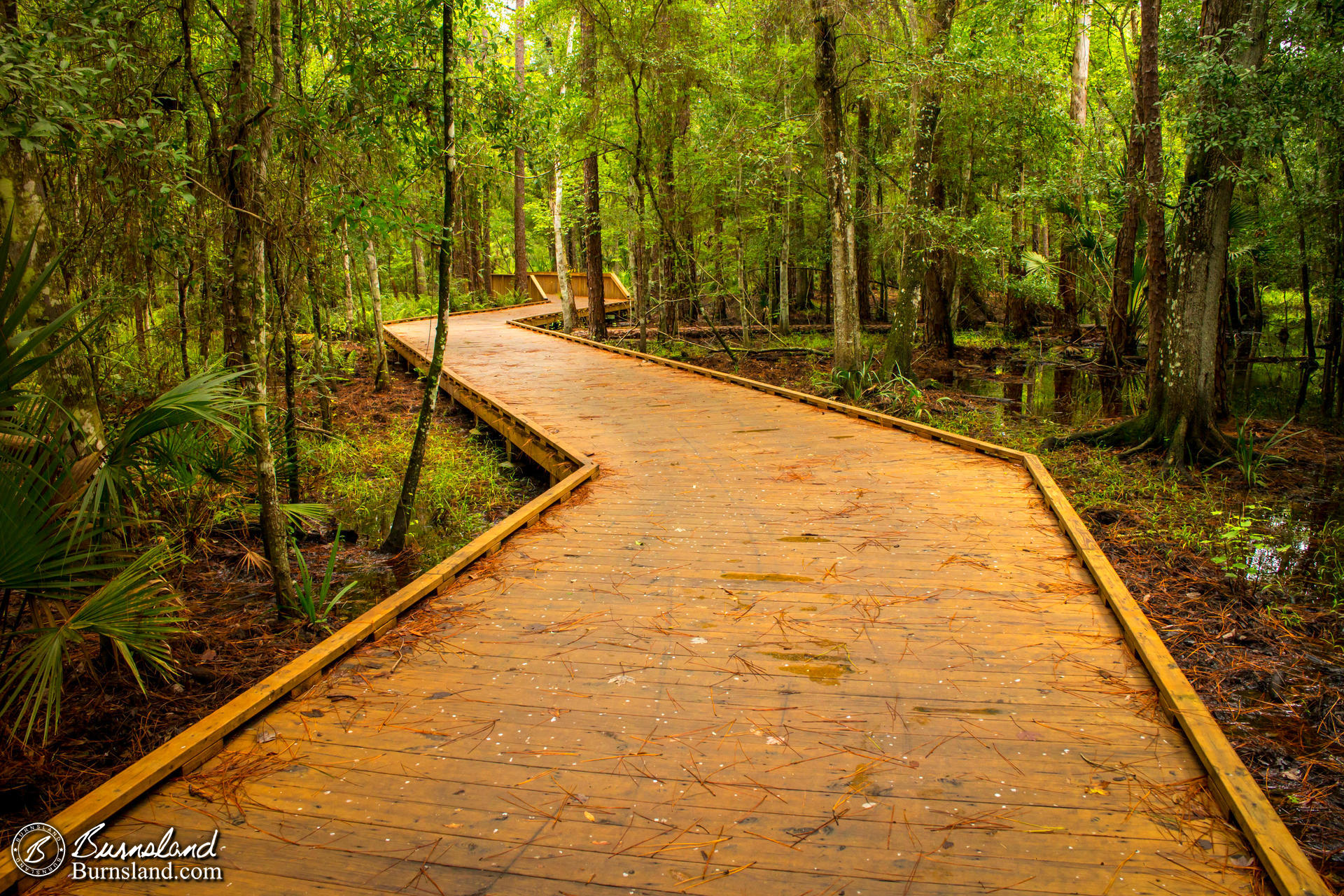 Shingle Creek Regional Park in Kissimmee, Florida