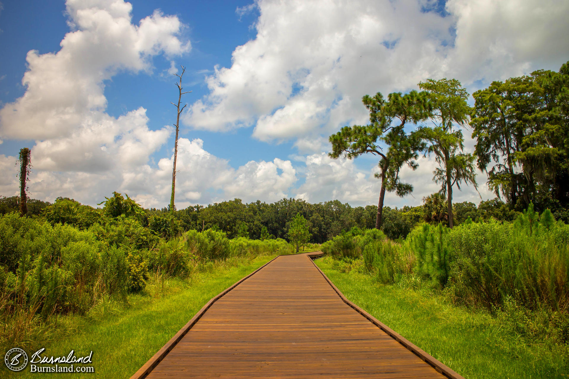 Shingle Creek Regional Park in Kissimmee, Florida