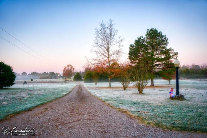 A slightly foggy view down our driveway one fall morning