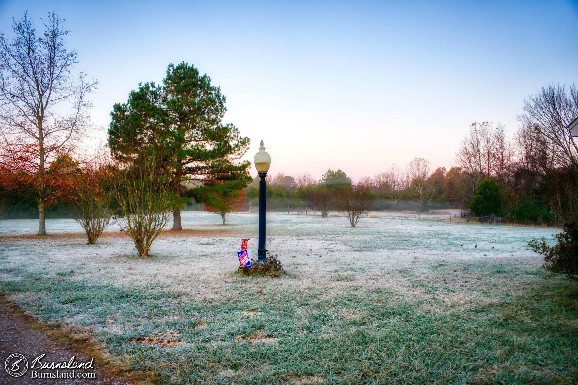 A foggy view across the front yard