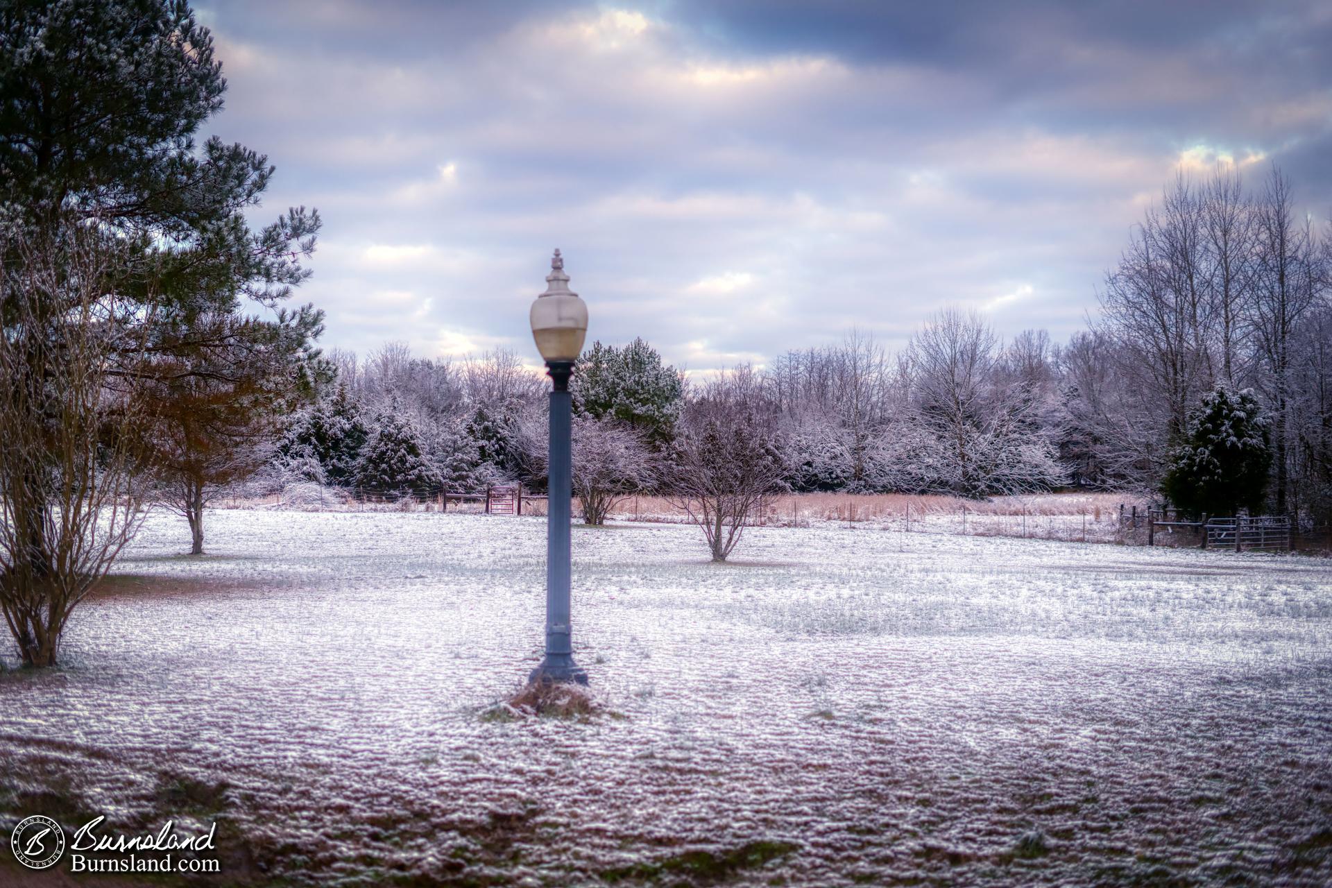 A snowy scene in our front yard created by a light snow shower on a recent February morning