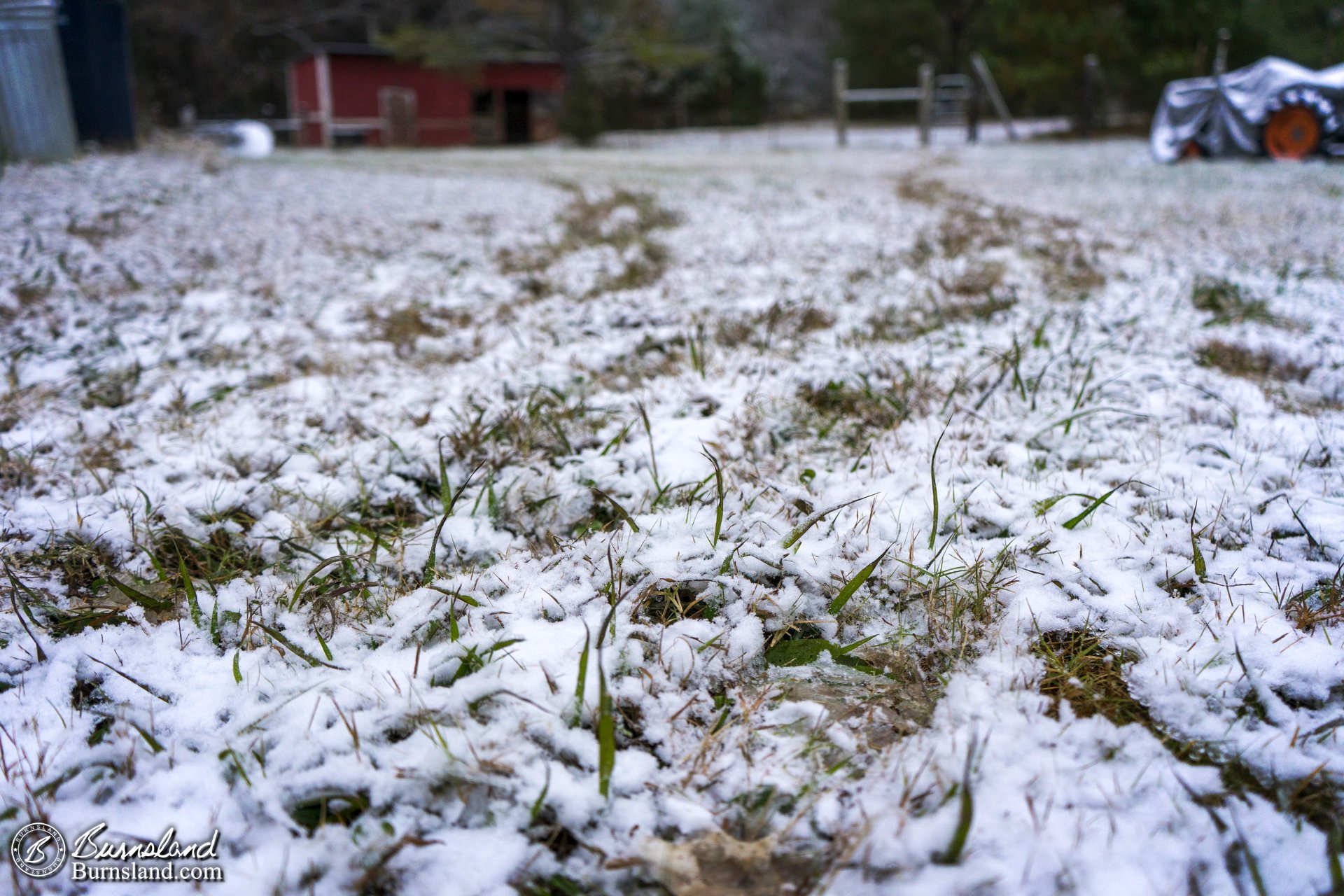 Snow on the grass