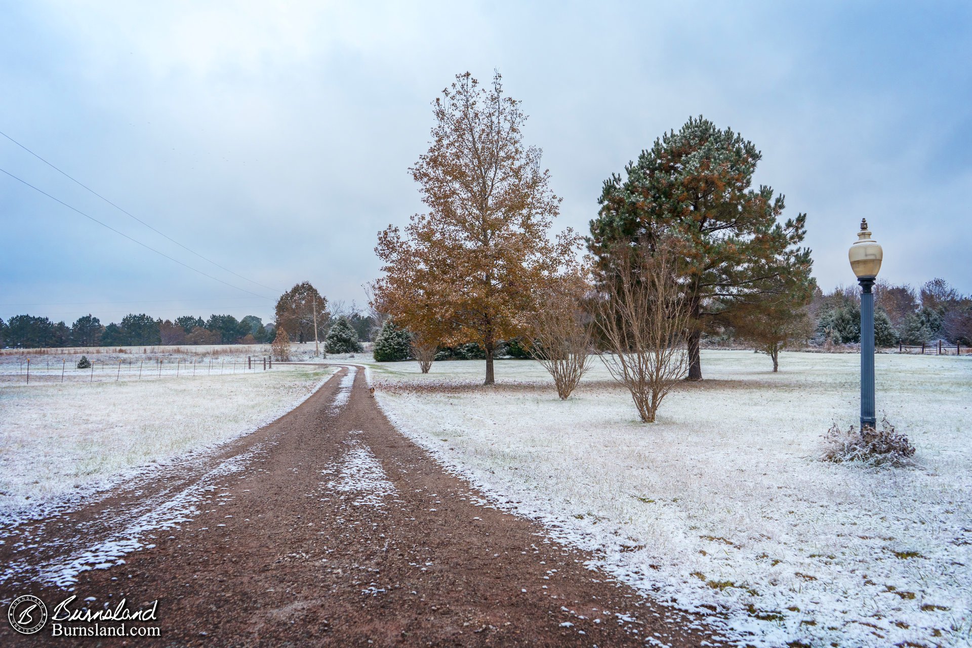 Snow in November