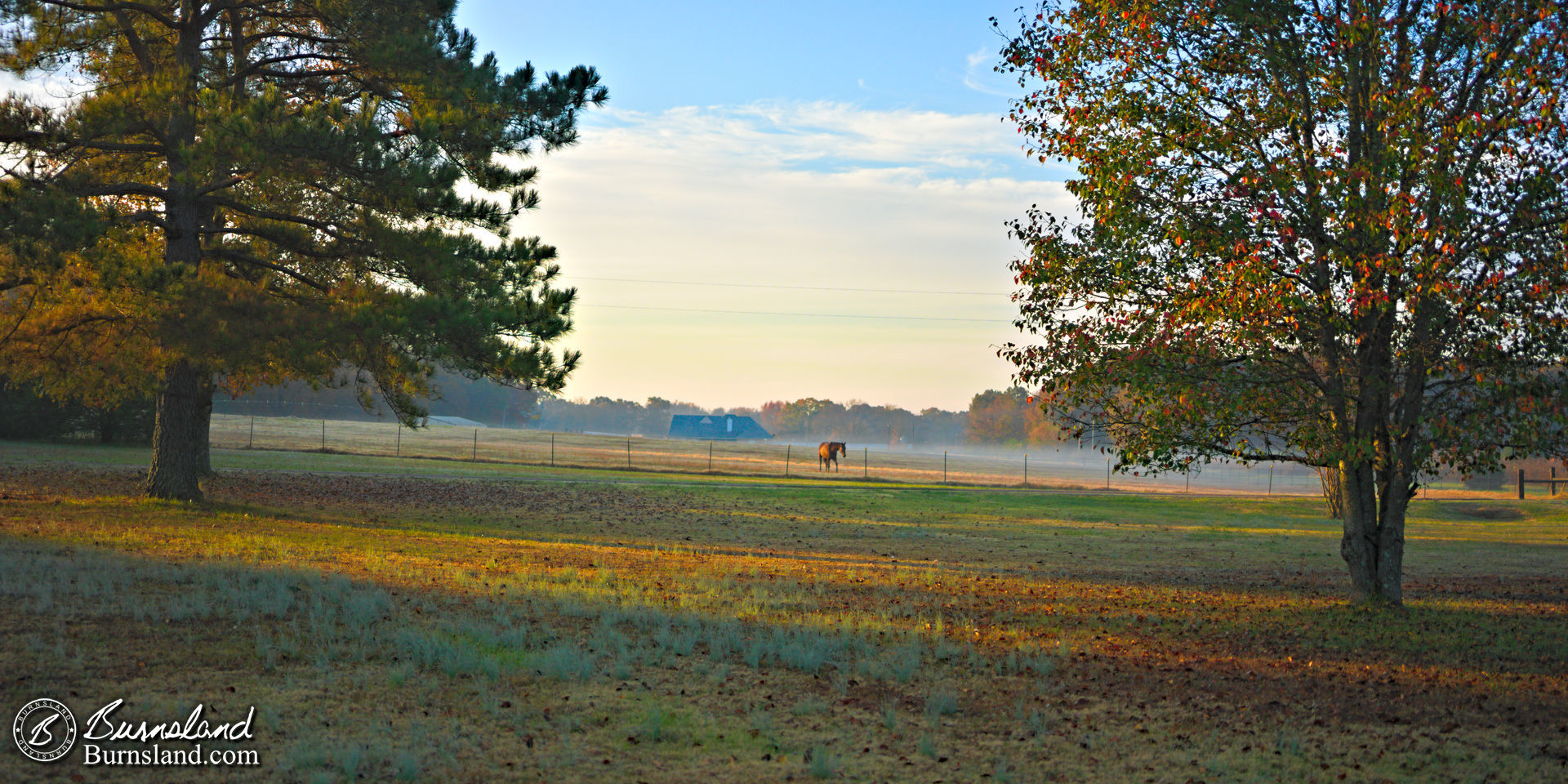 Fall colors