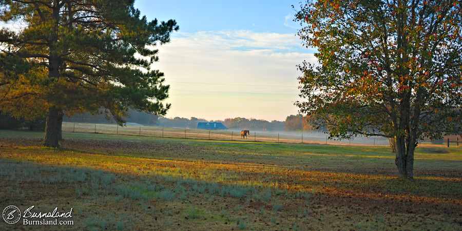 Fall colors