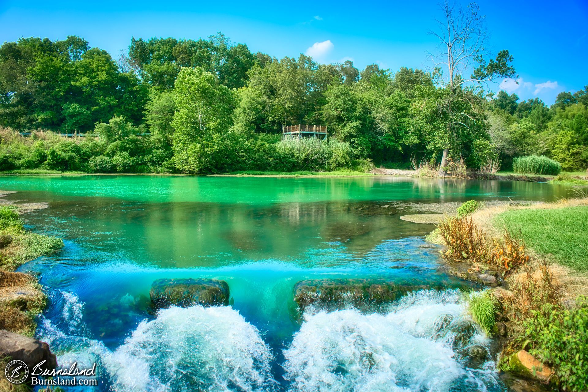 Spring and Lake at Mammoth Spring