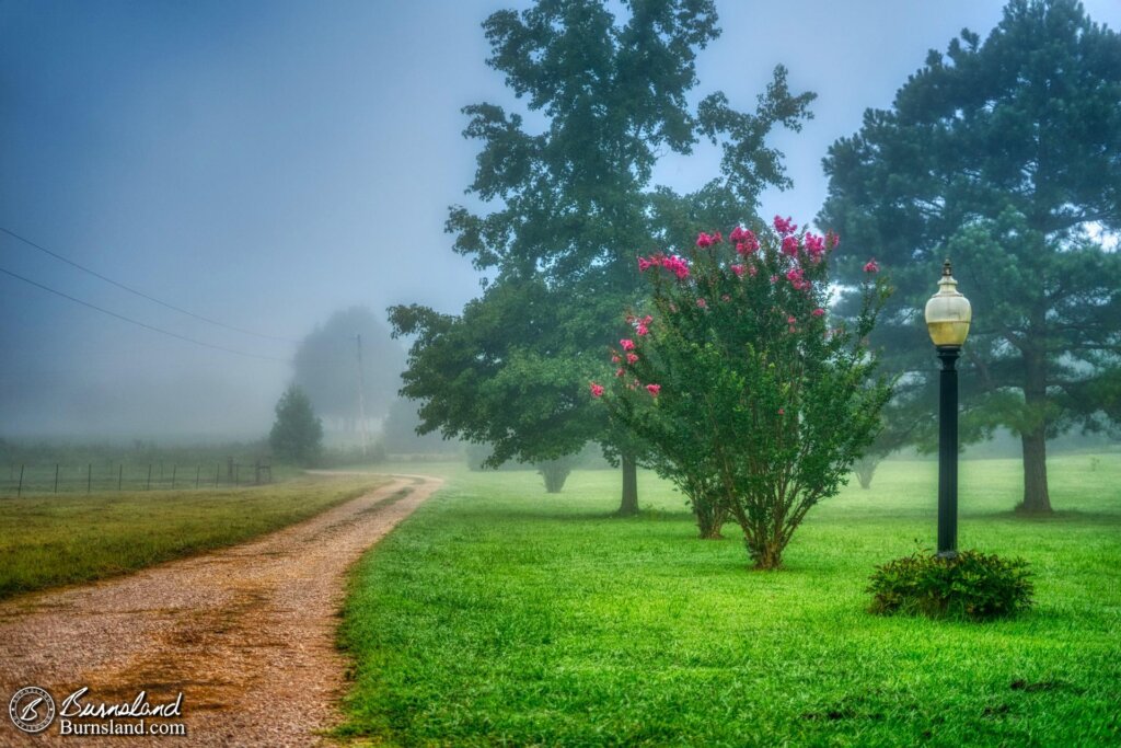 A foggy morning view down the driveway at our house, with a watermark added using ImageMagick