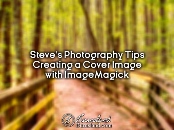 A cover image for this post that was created using ImageMagick