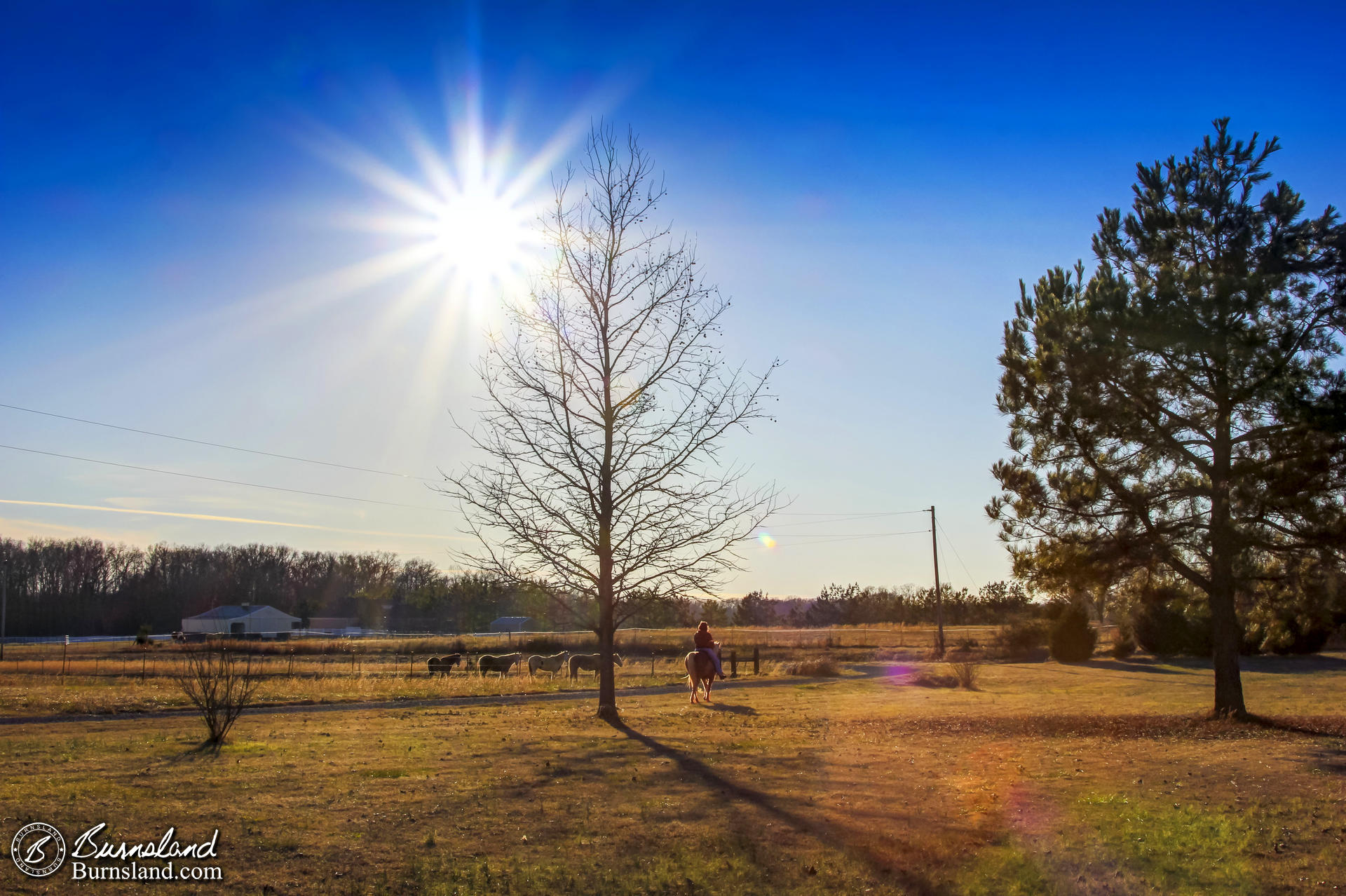 A Sunny Winter Day