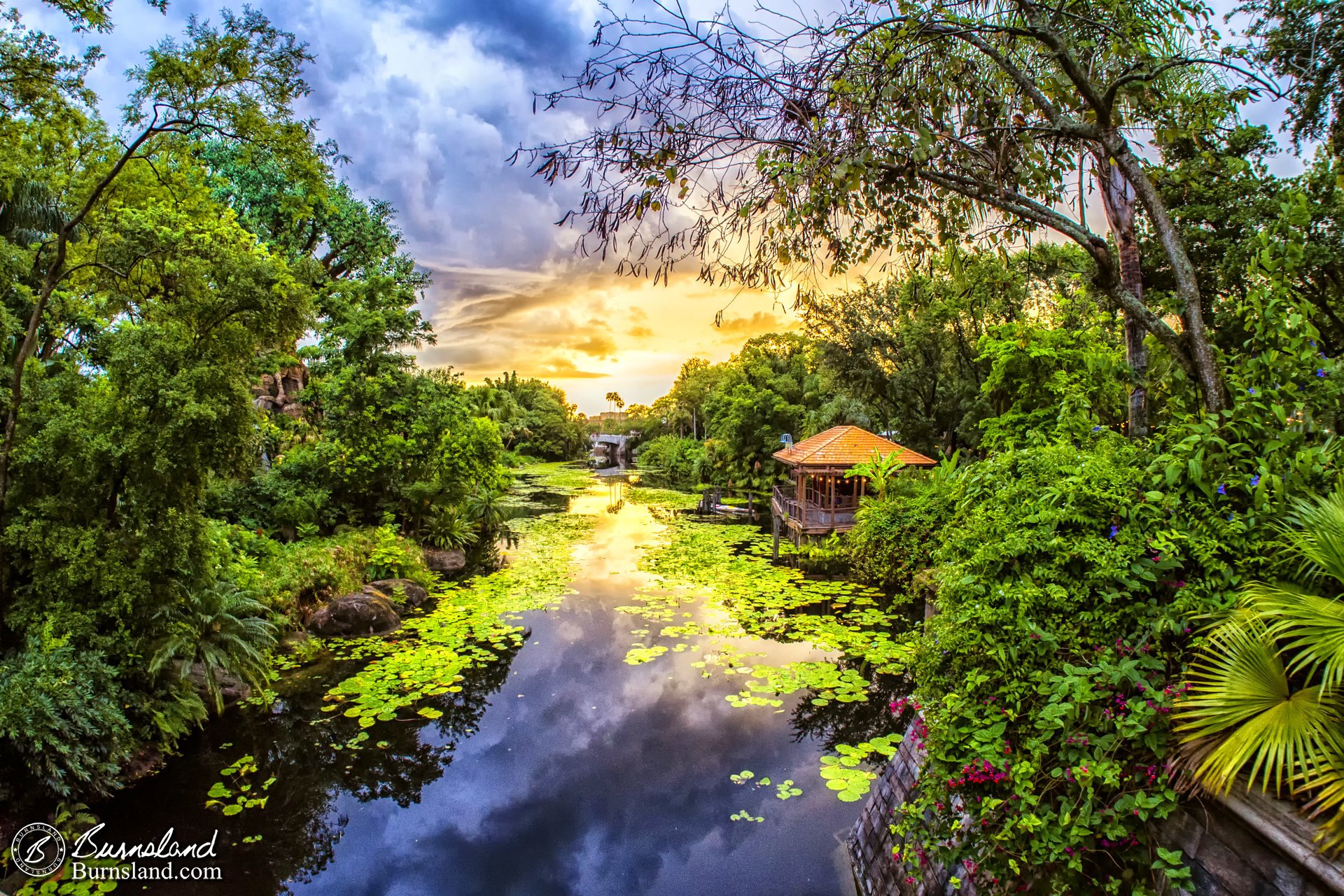 Sunset at Disney’s Animal Kingdom