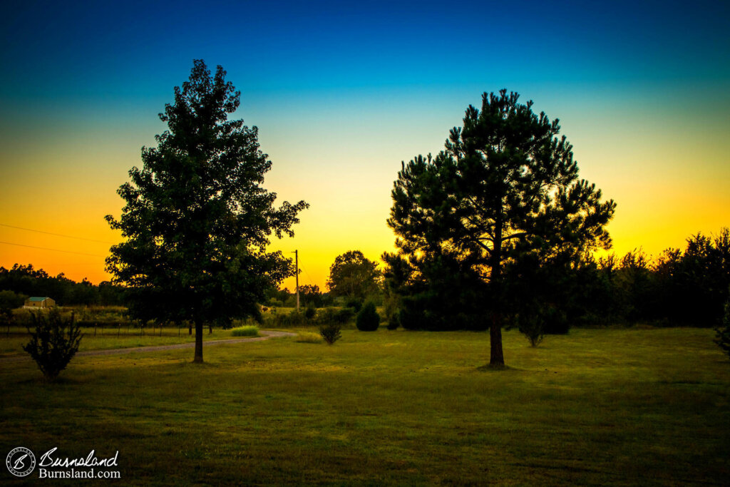 Sunset in the Front Yard