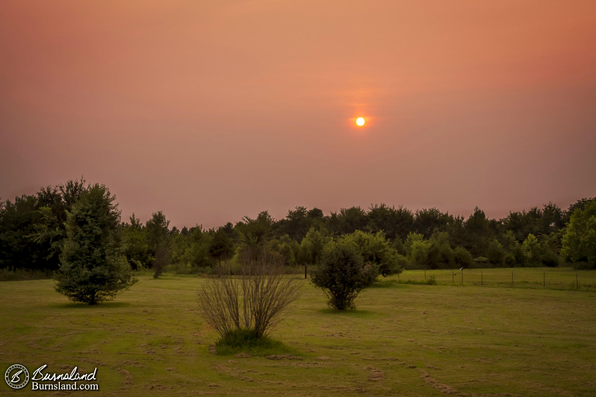 Sunset Through the Smoke