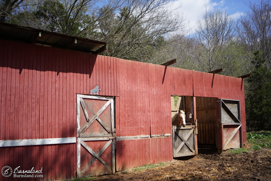 The horse barn without its roof