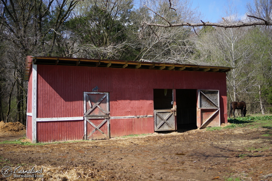 The barn with its new roof, and Bubba on the side