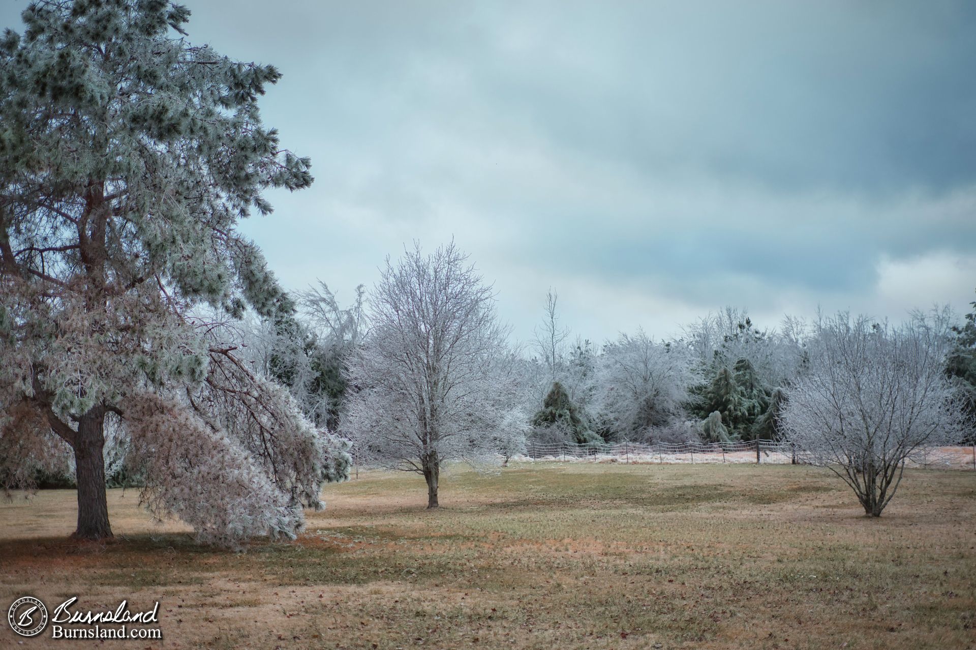 Ice storm 2022 view