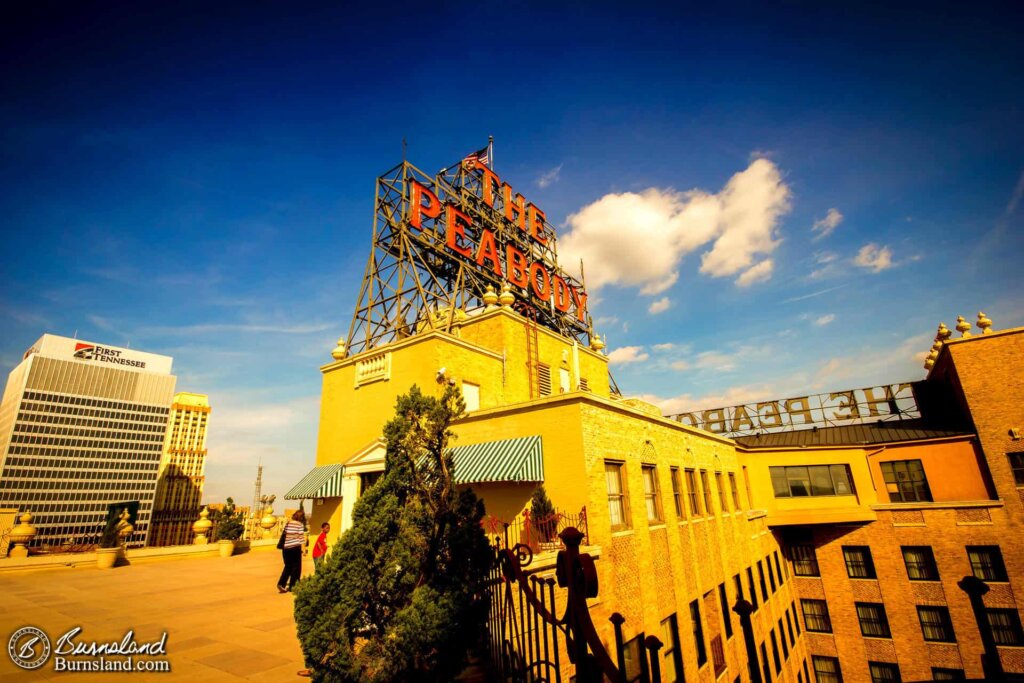 The Peabody Rooftop in Memphis, Tennessee