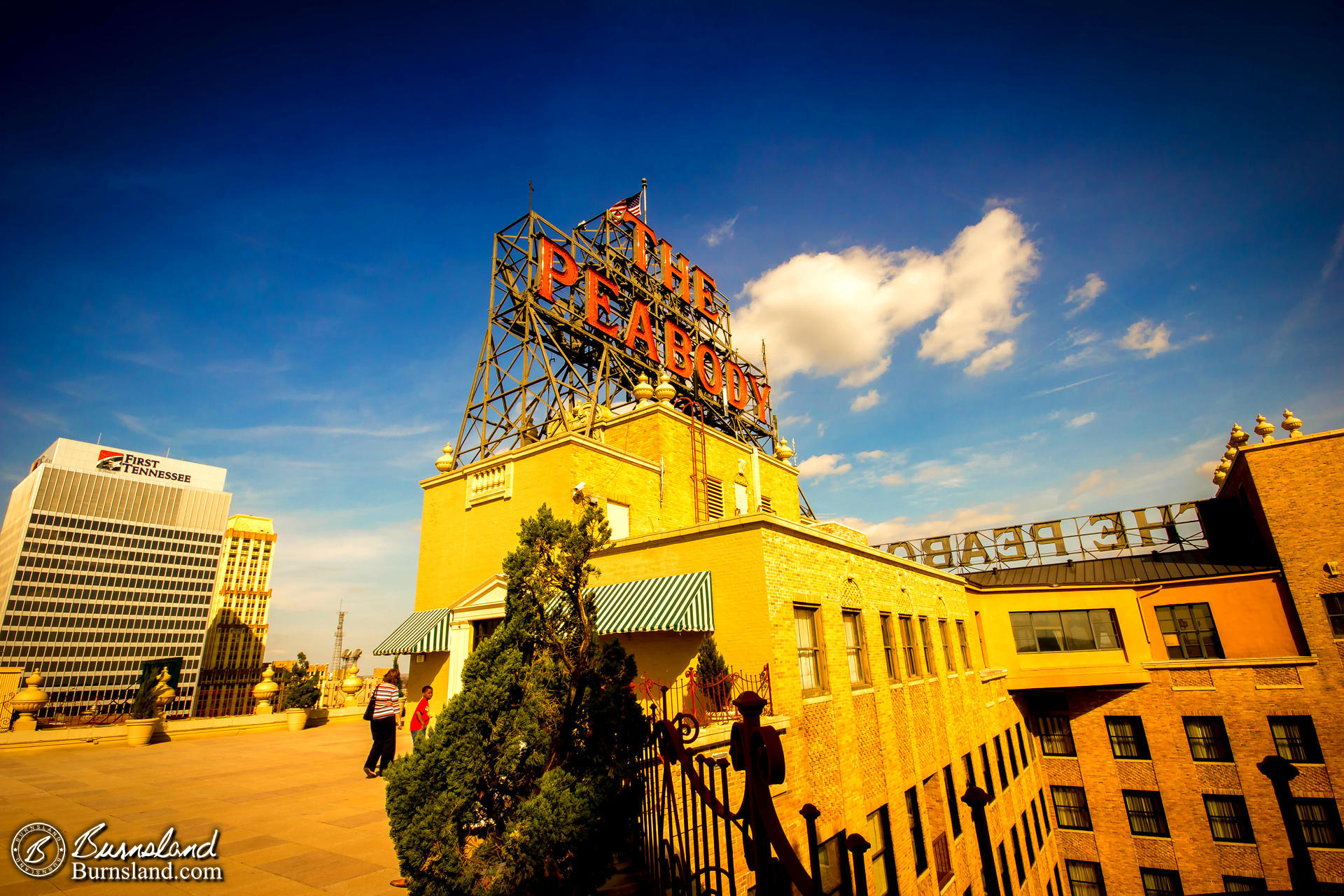 The Peabody Rooftop