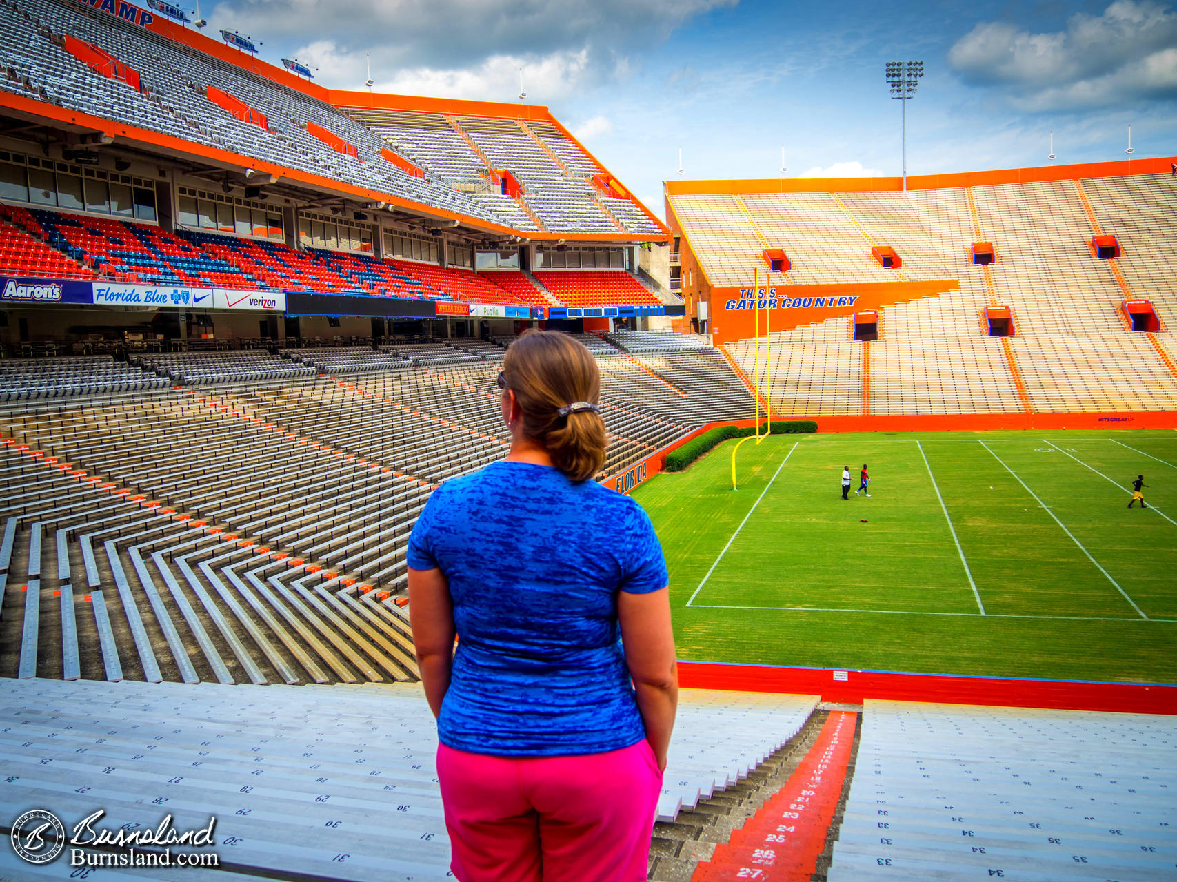 The Swamp at the University of Florida