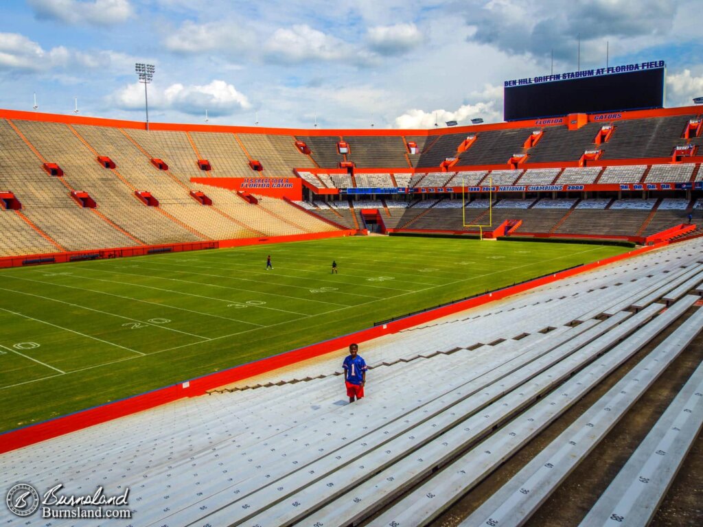 The Swamp at the University of Florida