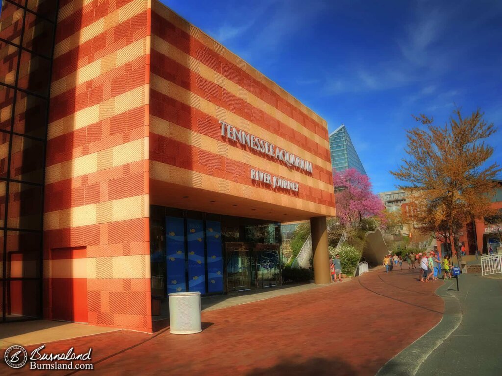 The Tennessee Aquarium in Chattanooga