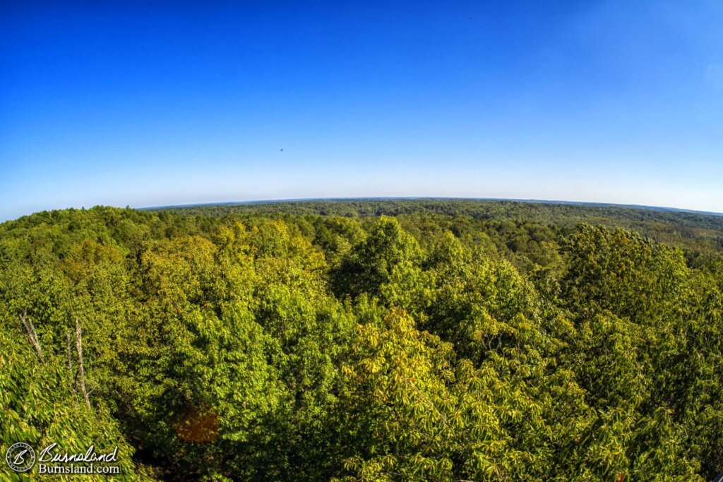 View from the Big Hill Pond Observation Tower