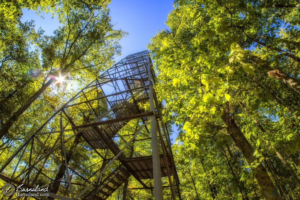 The Observation Tower at Big Hill Pond State Park in Tennessee