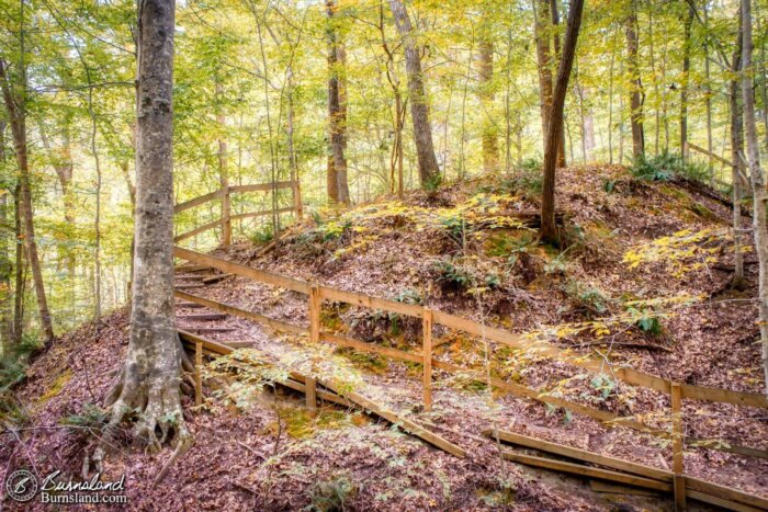 A trail with some welcome handrails leads through the woods at Pinson Mounds State Archaeological Park in Tennessee